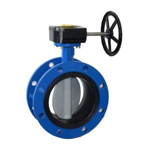 butterfly valve end connection flange types