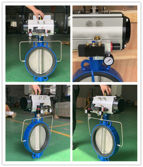inflatable seat pneumatic butterfly valve