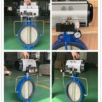 Exploring Inflatable Seat Butterfly Valves: Design Features and Unique Applications