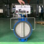 Introduction of seats for the butterfly valves