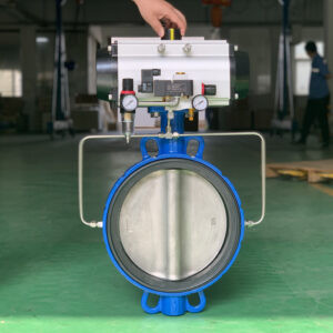 Inflatable seat pneumatic butterfly valve