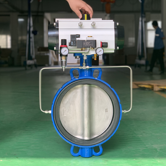 Inflatable seat pneumatic butterfly valve - Butterfly Valve