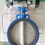 Inflatable butterfly valve