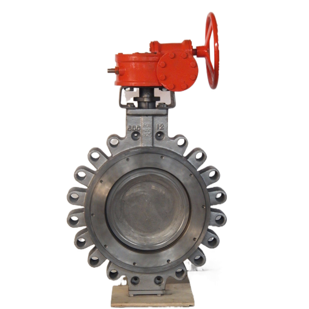 Double Offset Butterfly Valve