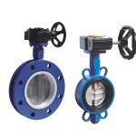 Commonly Asked Questions About Butterfly Valves and Answers