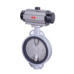 Reasons To Choose A Cast Iron CentreLine Butterfly valve