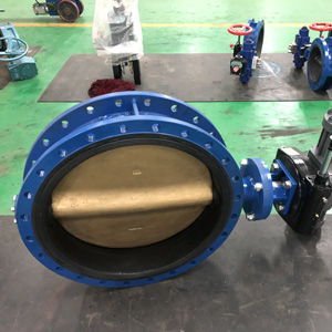 wafer type butterfly valve flange