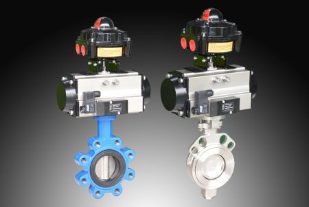 butterfly valve and gate valves